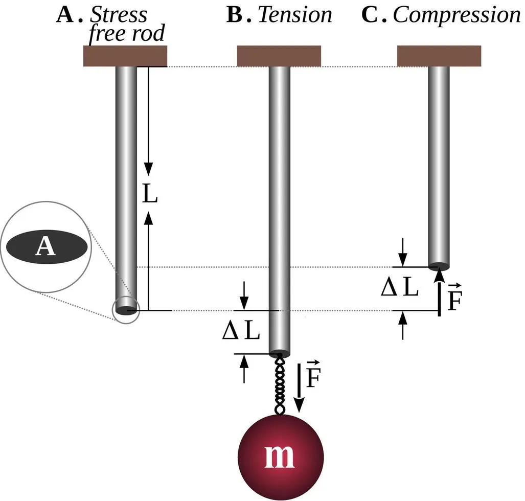 Young's Modulus